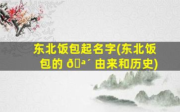 东北饭包起名字(东北饭包的 🪴 由来和历史)